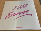Gloria Gaynor – I Will Survive 12