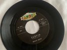 Beach Boys #331 Candix 45 Record Surfin/Luau