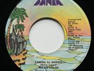 WILLIE COLON Camino Al Barrio / 8th Avenue (In The Park) FANIA 45 SALSA FUNK