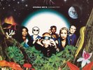 Stereo MCs Connected (Vinyl) 12
