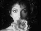 KATE BUSH Remastered in Vinyl II Box Set New & Sealed Very Rare
