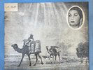 Arabic Egypt 70's LP- Om Kalsoum / Oum Koultum- Amal Hayati- Made in israel EX