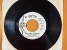 Houston Outlaws - What Am I Going To Do / Sweet Thing (45