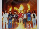 LYNYRD SKYNYRD STREET SURVIVORS MCA VIM6145 Japan PROMO VINYL LP