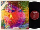 Litter - $100 Fine LP - Hexagon DG
