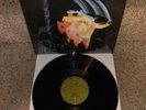 Black Sabbath “Paranoid” Vinyl LP 180g Rare R1 78976 Green Label Adult Coll VG+