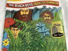 The Beach Boys - Endless Summer - 2LP 180G Audiophile Hype Sticker B Wilson NEW