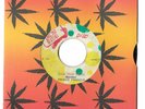 45 REGGAE / PRINCE FRANCIS / ROCK FORT SHOCK / IRON SIDE 7