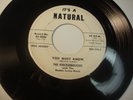 Rare Doo Wop 45 the Knickerbockers “You Must Know” Promo Hear