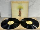 The Beach Boys, Wild Honey, 2 LP Vinyl 1974 VG+ Nice  Brian Wilson