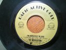 RADIO A 45 RECORD/THE MODULATIONS/I'M HOPELESSLY IN LOVE/I CAN'T FIGHT YOUR LOVE
