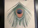 RARE XTC Apple Venus (Volume One) VINYL LP Italian Import FIRST PRESS 1999 VG+