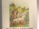 PAUL McCARTNEY & WINGS - Mary Had A Little Lamb Picture Sleeve/45rpm 1972 NM