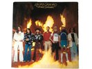 Lynyrd Skynyrd - Street Survivors - Vinyl LP 1977 MCA-3029 Master Flames Banned