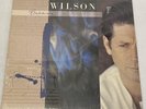 BRIAN WILSON Self-Titled - 1988 Sire LP - STUNNING - STILL SEALED - NICE