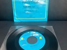 PATRICIA CRAMER/ Hallo Little Joe -7