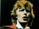 David Bowie - 
