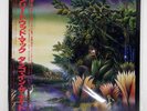 FLEETWOOD MAC TANGO IN THE NIGHT WARNER BROS. P13490 Japan OBI INSERT VINYL LP