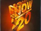Various - Now That's What I Call Music  20 - Used Vinyl Record - T2508z