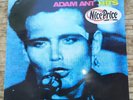 ADAM ANT 