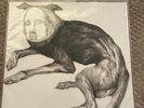 Putrifiers II by Thee Oh Sees (Record, 2012)