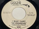 The Strangeloves: I Want Candy / It's About My Baby 45 - Garage