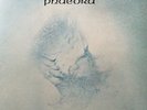 TANGERINE DREAM Phaedra Vinyl Record Album LP Virgin 1974 Prog Rock & Pop Music