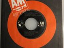 Louis Armstrong / What a Wonderful World / 7