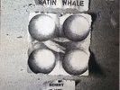 Satin Whale-Desert Places German prog lp reissue brand new Missing Vinyl