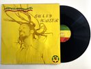Bunny Wailer Rock N Groove 1981 LP Solomonic Jamaica Import Reggae Vinyl Record