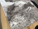Folklore Bettys Garden by Taylor Swift (Vinyl, Dec-2020, Republic)