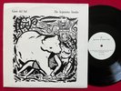 GASTR DEL SOL SERPENTINE SIMILAR LP (1993) RARE CHICAGO POST ROCK VG+ TEENBEAT