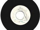 GAYLADS / I WEAR MY SLANDERS / LEE SCRATCH PERRY / A BIG JOKE / 7''