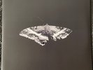 Kendrick Lamar - To Pimp A Butterfly | 10th Ann Metallic Blends 2LP | Ltd Ed