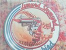 LYNYRD SKYNYRD -  FREEBIRD SWEET HOME ALABAMA Original 1976 Picture Vinyl UK