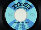 Garage Psych Fuzz 45 - Just Luv - Valley Of Hate - M-S
