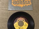 Mission Of Burma - Academy Fight Song/Max Ernst 7” Single (45 Vinyl) AHS 104
