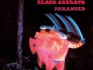 BLACK SABBATH - Paranoid  LP vinyl