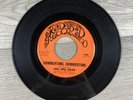 Jan And Dean Summertime, Summertime / California Lullaby 45 RPM 7” Vinyl