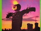 Sonic Youth  BAD MOON RISING VINYL LP, RED LABELS (1985) •US• 1st Pressing *RARE