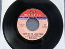 Buddy Lamp / You’ve Got The Loving Touch / I wanna go home