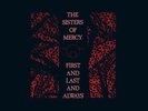 The Sisters of Mercy : First and Last and Always VINYL Limited  12