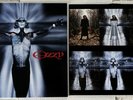 OZZY OSBOURNE -DOWN TO EARTH- SEE YOU ON THE OTHER SIDE 2024 VINYL LP RECORD NEW