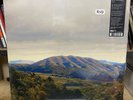 DIRTY PROJECTORS + BJORK  Mount Wittenberg Orca (RSD2023) NEW GREEN VINYL DBL LP