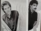 Daryl Hall And John Oates Voices Vinyl Mofi Pressing
