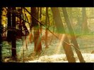 Childish Gambino Camp (Vinyl) 12
