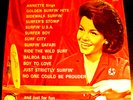 Annette Sings Golden Surfin' Hits 1965 12