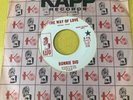 Ronnie James Dio 45 The Way Of Love PROMO