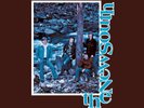 J.d. Crowe & The New South - New South (root Beer Vinyl) [VINYL]