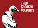 Them Crooked Vultures Self Titled 2009 OG 180g vinyl 2 LP Psych Rock Rare OOP ST